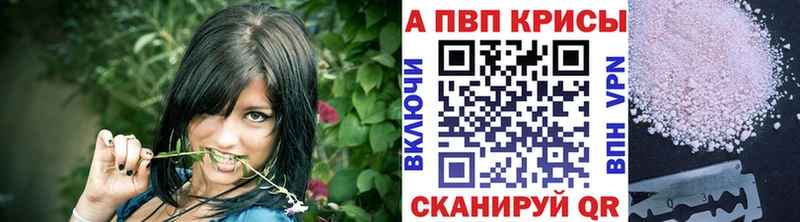 закладка  Торопец  А ПВП СК КРИС 